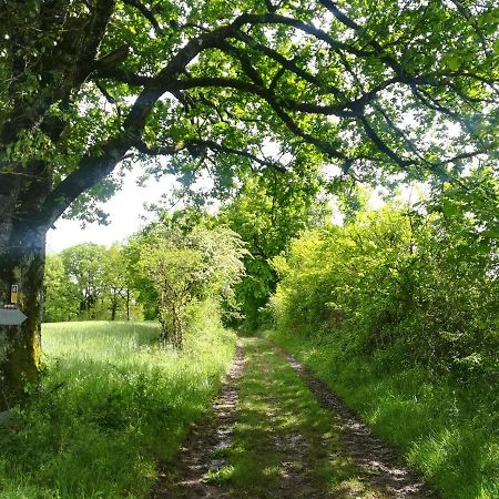 Gite La Maison Des Pelerins Villeneuve-dʼAveyron Zewnętrze zdjęcie